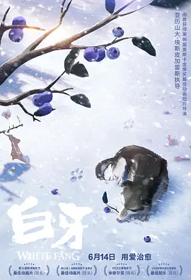 青青青青草视频